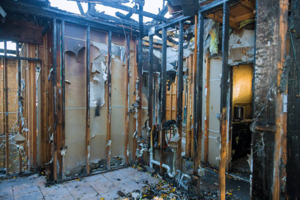Professional Odor Removal technician working in Ayden, NC
